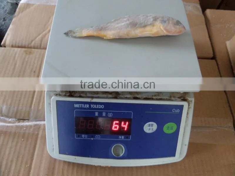 frozen fish seafood little yellow croaker