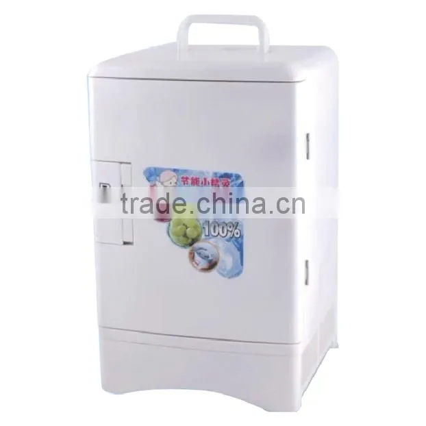 Fashionable car fridges