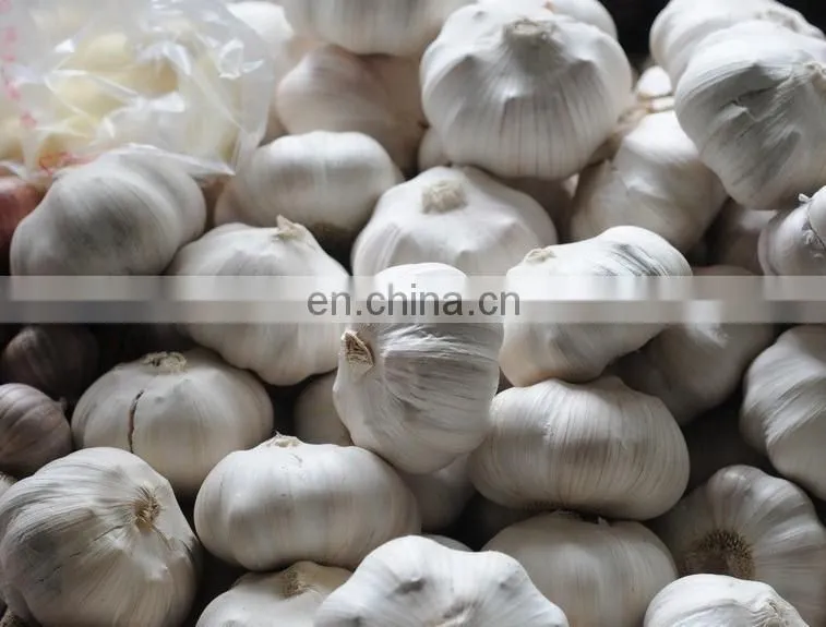 Practical and affordable no damage garlic processing equipment for sale