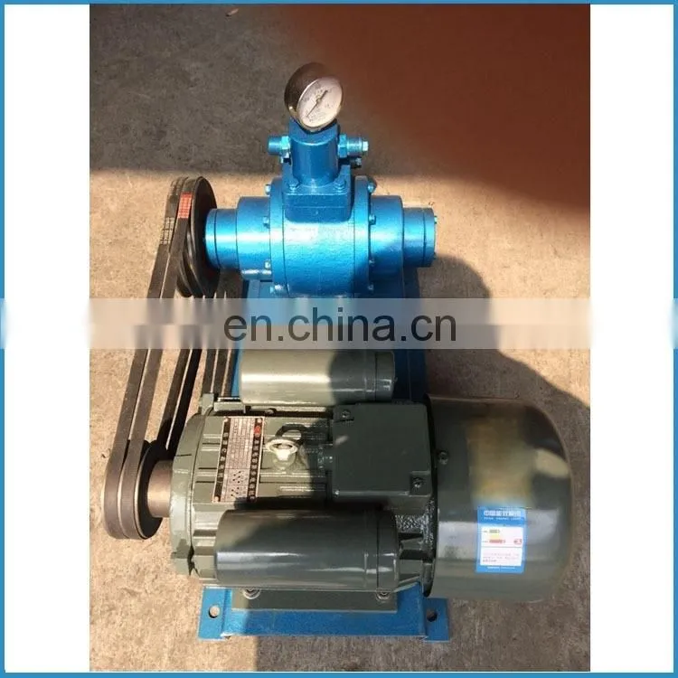 liquid gas transfer pump for lpg filling station, lpg transfer pump, 110v/220v/380v lpg pump,