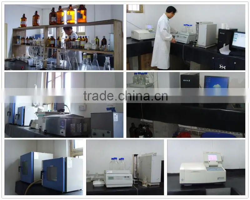 Natural Apple Extract Polyphenols 50%
