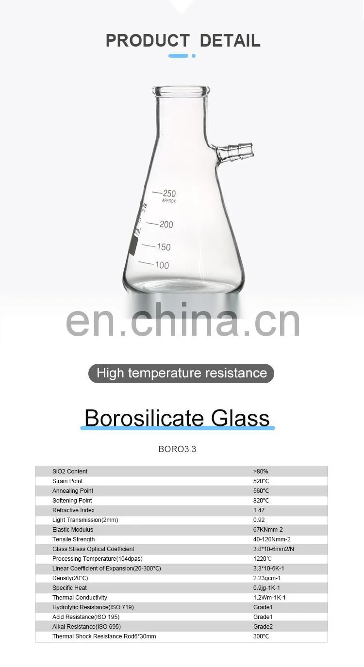 JOAN Graduated Lab Glass Filtering Flask Producer