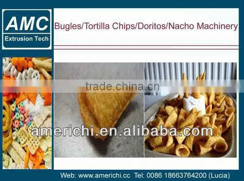 Continuous chips fryer