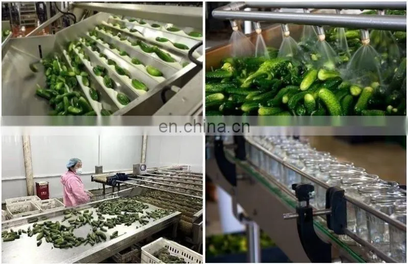 Factory Genyond Professional carrot cucumber pickles pickled onion canning equipment machine production line processing plant