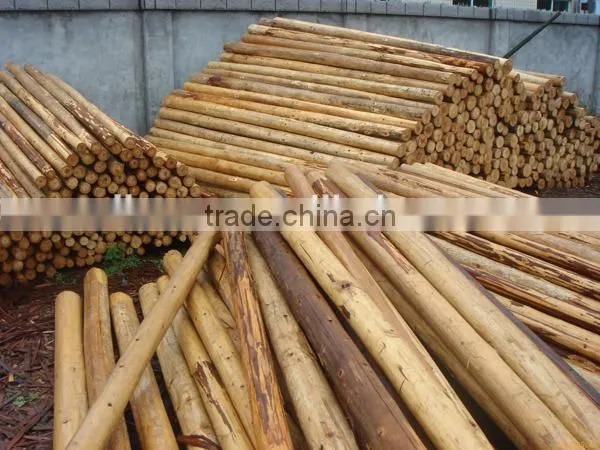 Double roller wood bark peeling machine in stock with peeling rate more than 95%