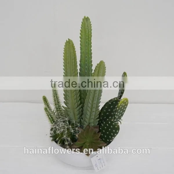 2014 Latest Green mixing artificial plants cactus plants wholesale