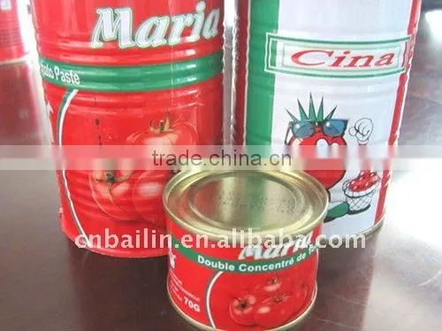 1000g brix28-30 gino fresh pasta seasoning for Africa easy open lid