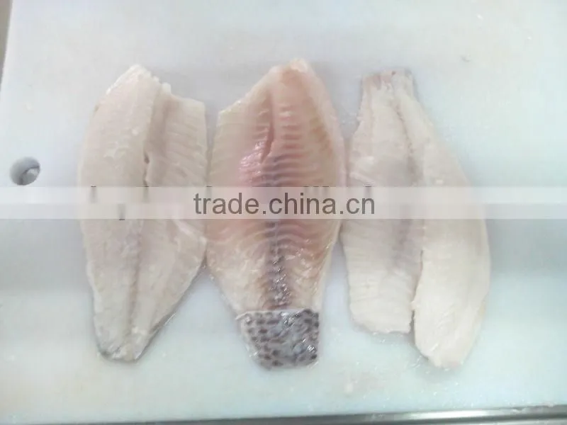Frozen Tilapia fillet