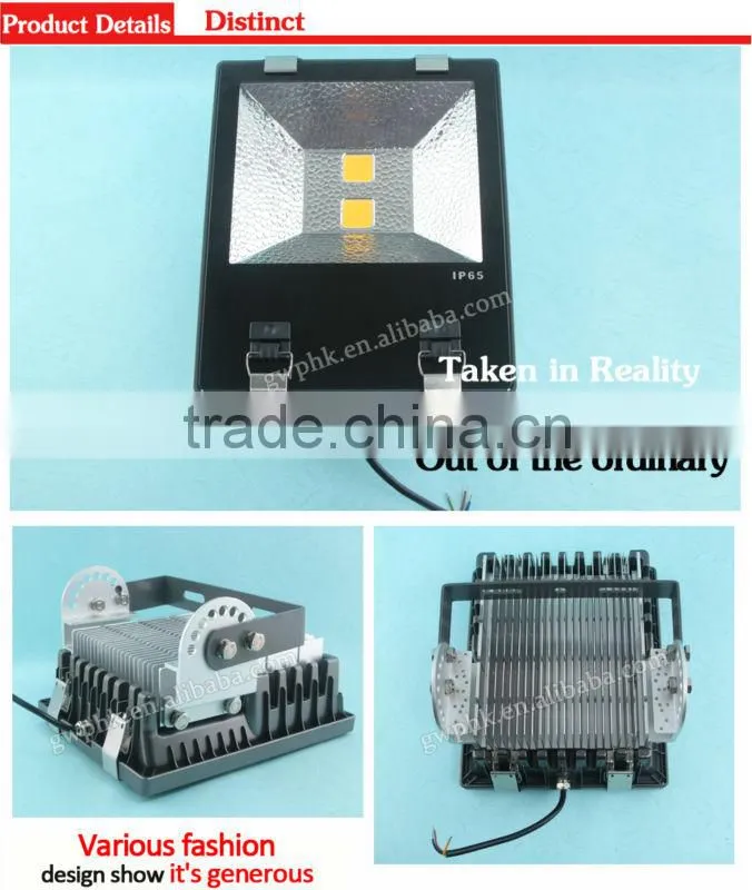 LED flood light with motion sensor