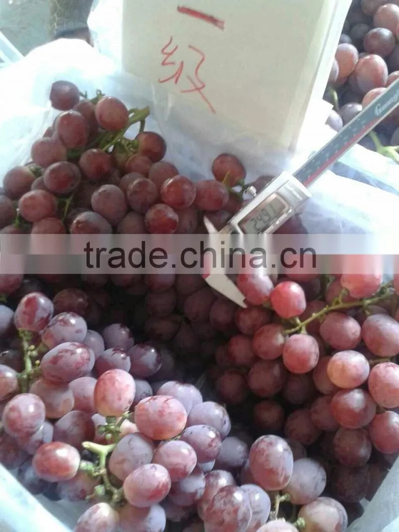 Fresh Yunnan red grape