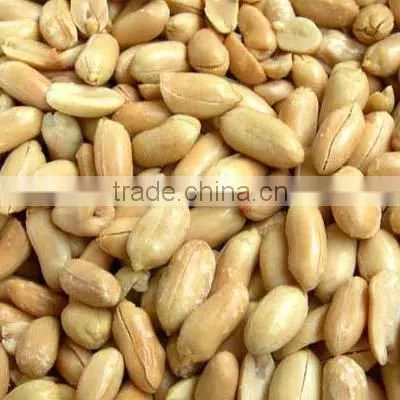 PEANUT ,BIGGEST PEANUT & PUMPKIN SEEDS FACTORY