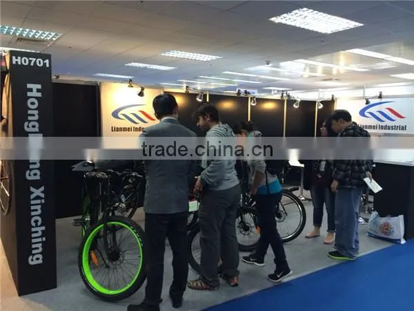 2015 Electric City Bike 250w LMTDF-19L
