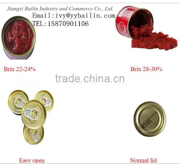 China Hot Sell Canned tomato paste 70g*100tins,food tin can making machine