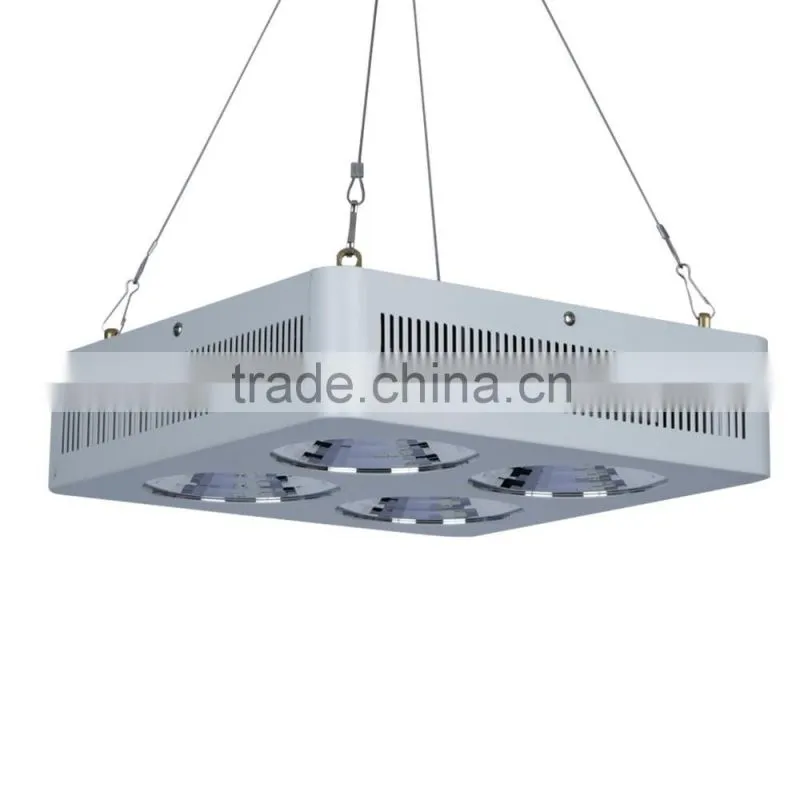 Shenzhen Lamp Manufactory Super Performance High Power 10W 50W 100W 200W 300W 500W 1000W 2000W 120W COB LED Plant Grow Light