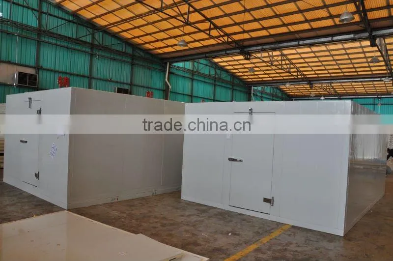 deep freezer cold room for Frozen food