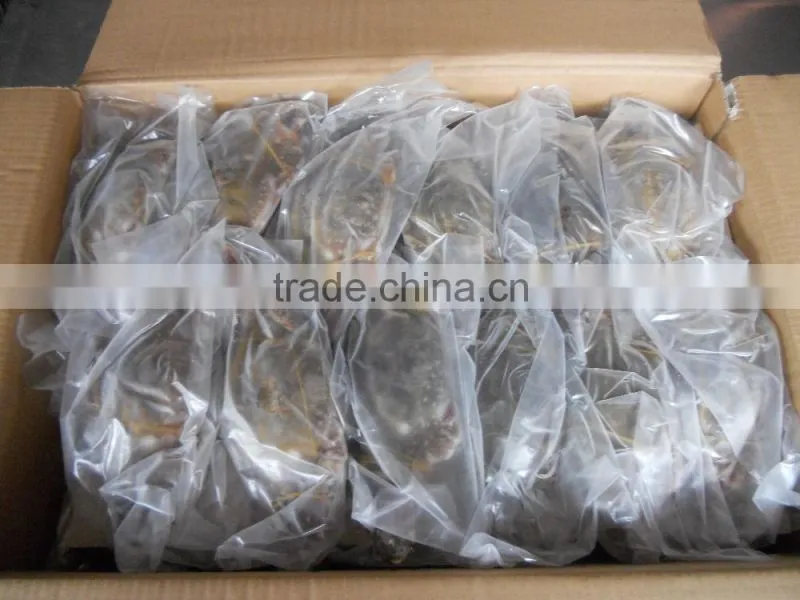frozen blue swimming crab for sale