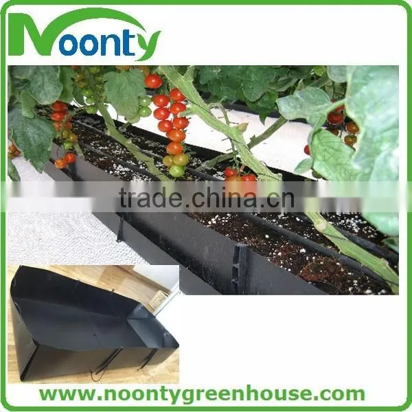 Economical Tunnel Greenhouse