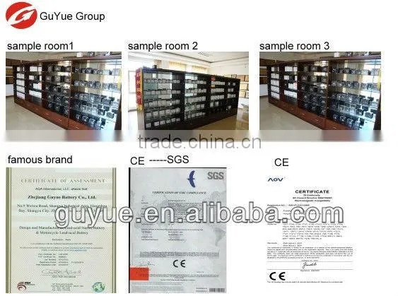 heavy duty motorcycle battery