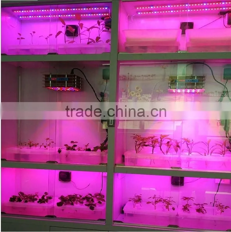 high efficient agricultural led grow light hydroponic led grow lights