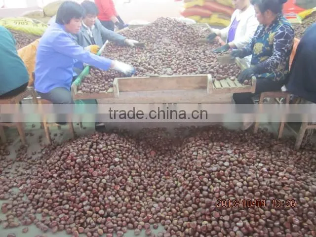 price chestnuts of 2013