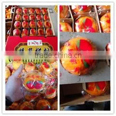 Xiamen Rainbow Fruits Co., Ltd. company overview - view 1