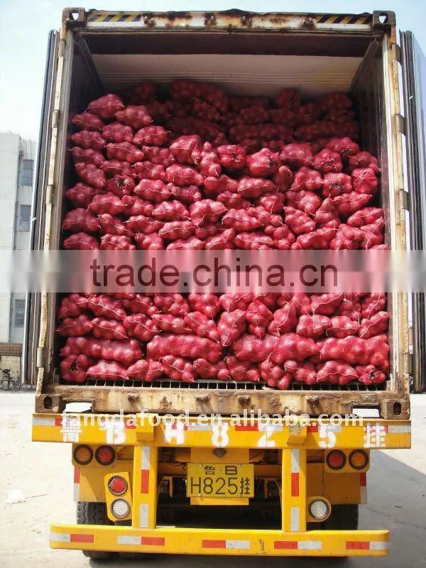 lowest price fresh red onion,fresh red big onion