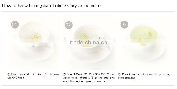 2015yr Huangshan Tribute Chrysanthemum