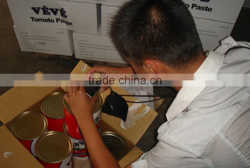 70g 56g stand pouch tomato paste double concentrated 28-30%