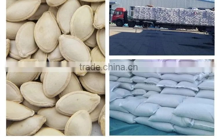 wholesale edible white pumpkin seed price