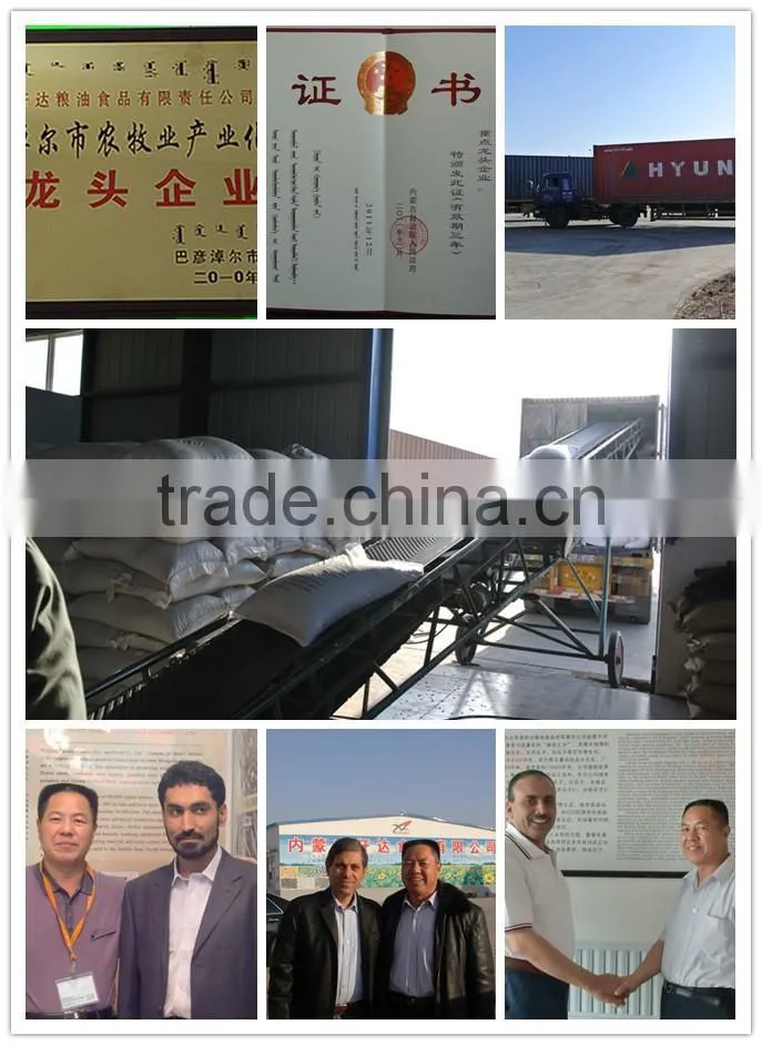 2014 new crop Watermelon seeds Kernels packing in 25kg per bag