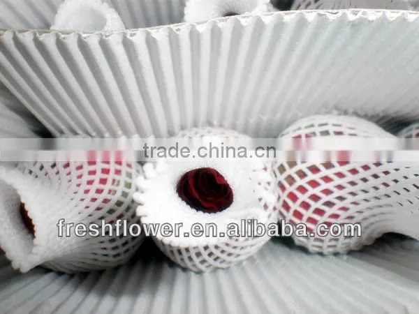 wholesale flowers of black roses flower