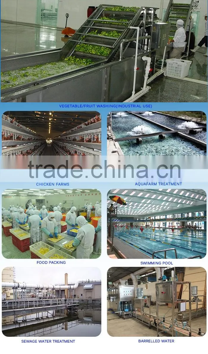 water ozone generator /water ozonator/drinking water ozonator machine