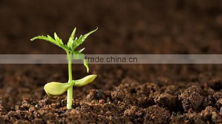 Fertilizer Rich Humic acid and fulvic acid organic bio fertilizer