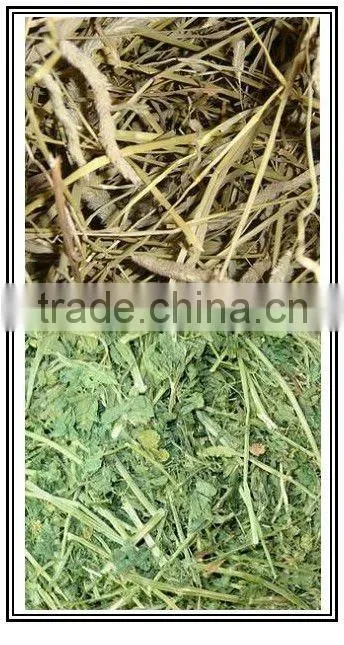 Best-selling CE certificate small alfalfa pellet machine