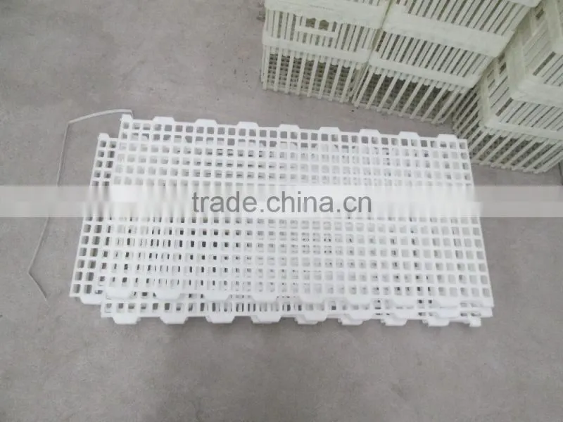 plastic chicken slat floor for sale