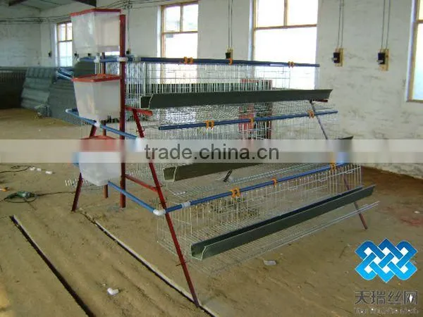 Chicken Cages/layer Chicken cage