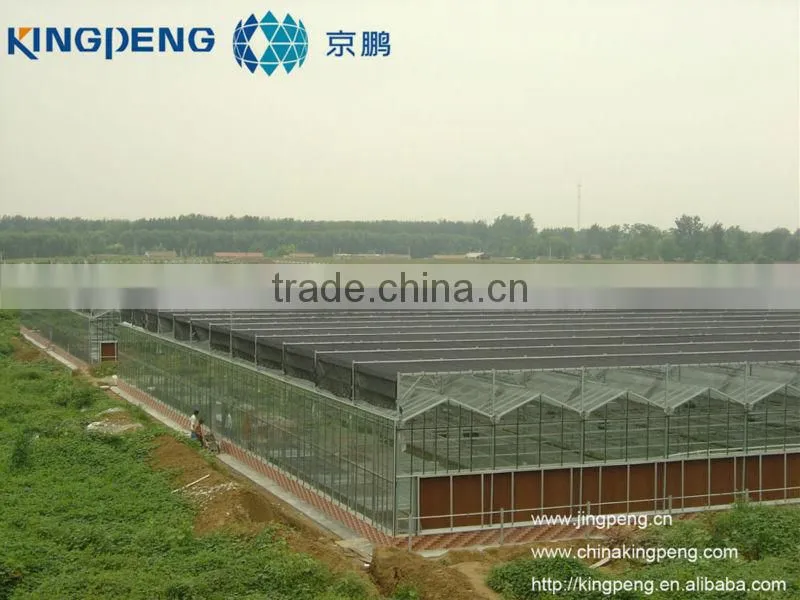 Commercial Glass Greenhouse For Flowers