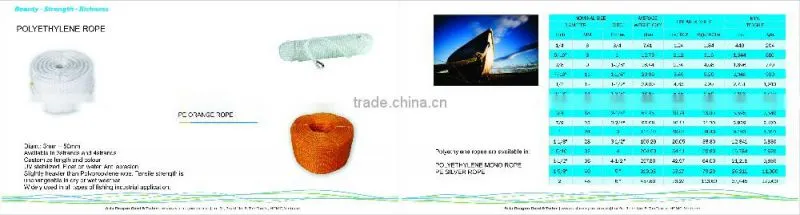 Polyester ropes for boat rigging and dock lines