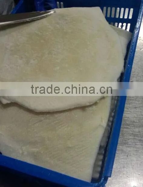 Frozen Seafood Giant Squid Fillet
