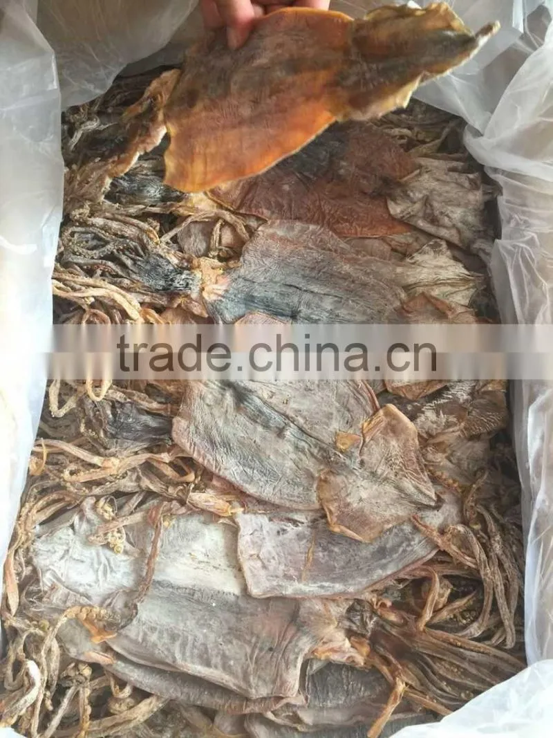dried north korea squid 3L