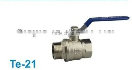 BRASS GATE VALVE