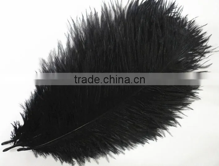 18-20cm Frozen Turquoise ostrich feather Wholesale
