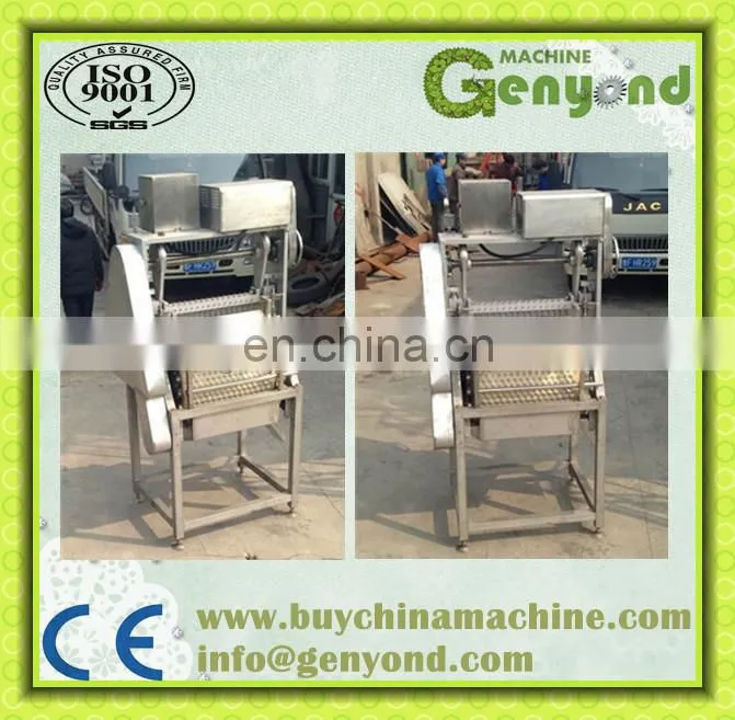 Small type cherry pitting machine mini cherry seed removing machine with factory price