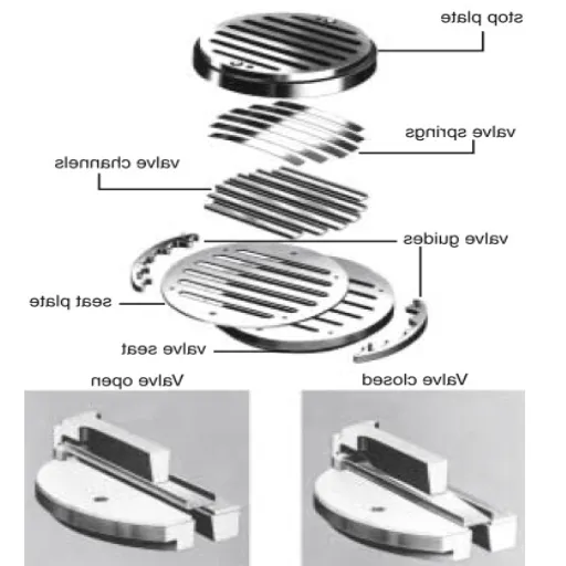 Introduction to Discharge Valves.png
