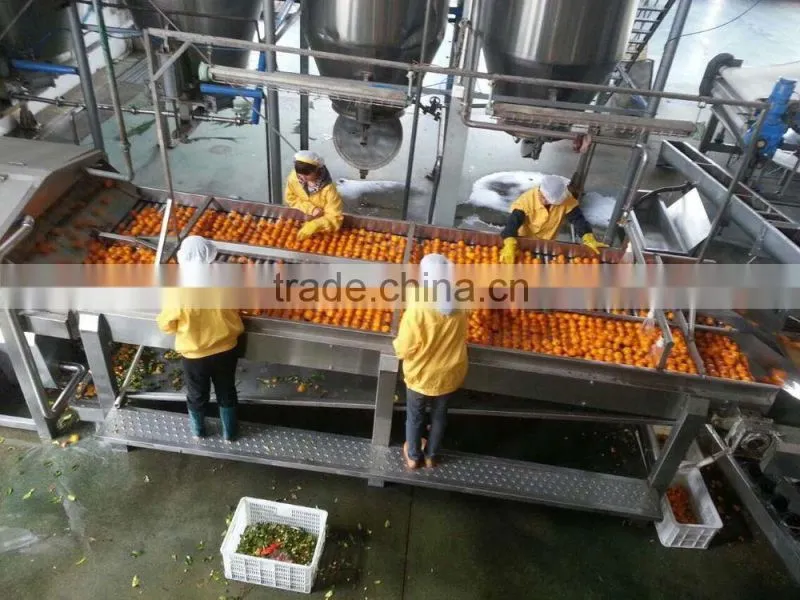 Stainless Steel Fruit Juice Processing Plant