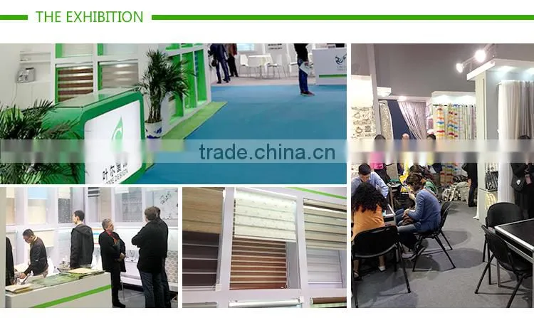 Home decoration Wonderful Water proof china blind,jacquard zebra blind
