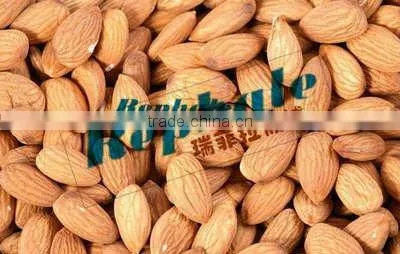 900kg/h Almond cracking machine