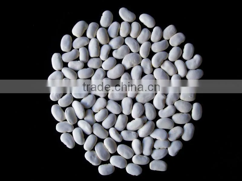 Low price large white kidney beans