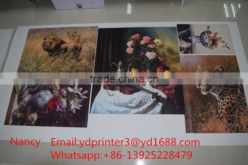 Fexible soft film hybrid printer inkjet flexo eco solvent ink printing machine price