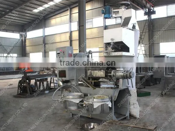 Hot sale in Africa baobab seeds oil press machine from Dingsheng